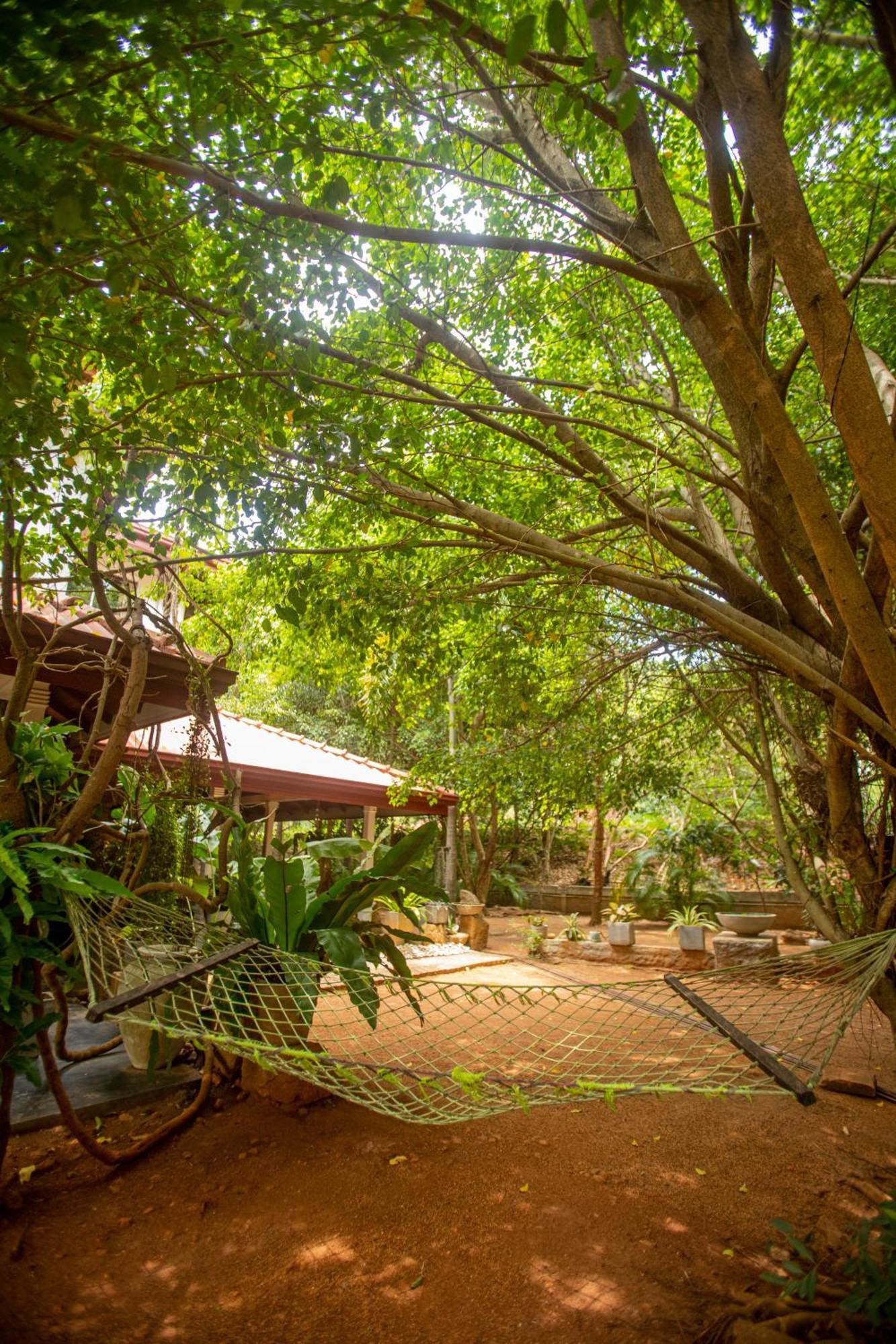 Evergreen Hotel Dambulla Dış mekan fotoğraf