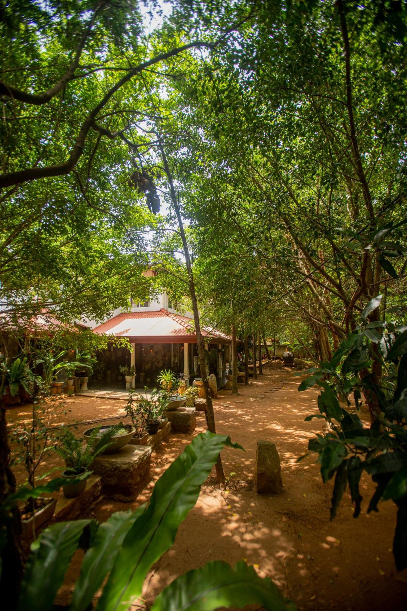 Evergreen Hotel Dambulla Dış mekan fotoğraf