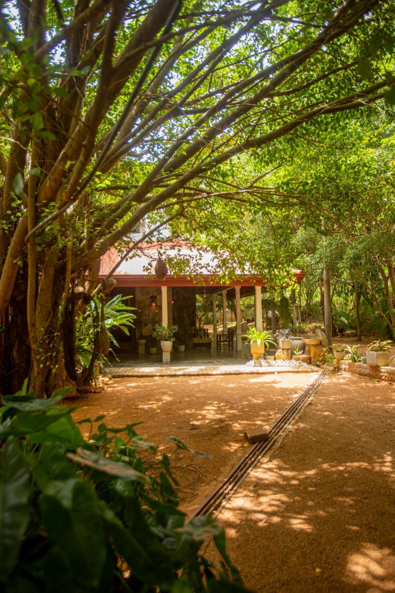 Evergreen Hotel Dambulla Dış mekan fotoğraf